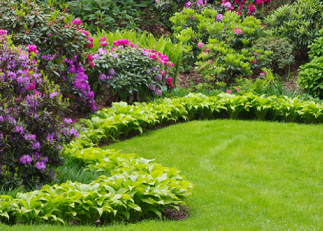 Dobrze zaprojektowane ogrody i profesjonalne usługi